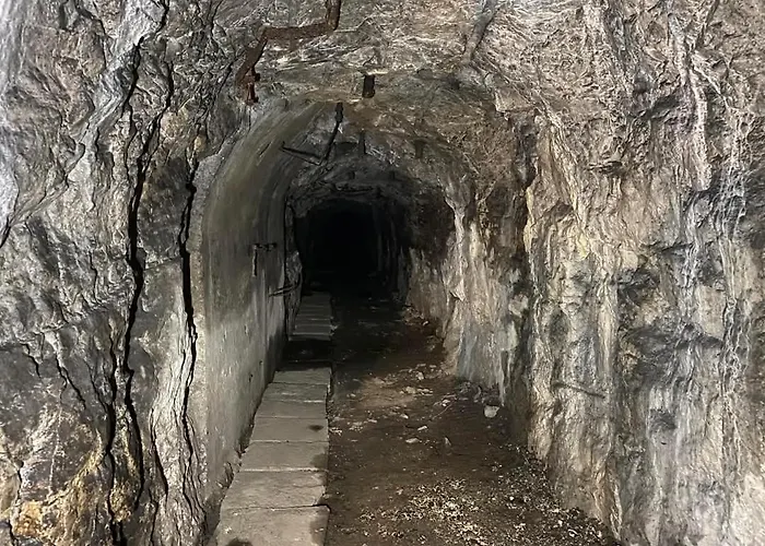 Robbin Met Airco Wifi En Zwembad Apartamento Novigrad Istria